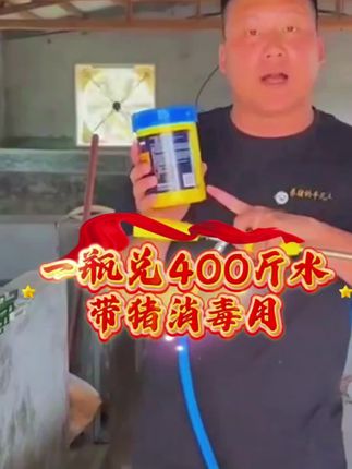 视频同款消毒粉。我自己三个厂子都在用99元两瓶,买的越多越划算#养猪人加油干 #养猪人不容易 #养猪人 #自繁自养母猪 #养猪