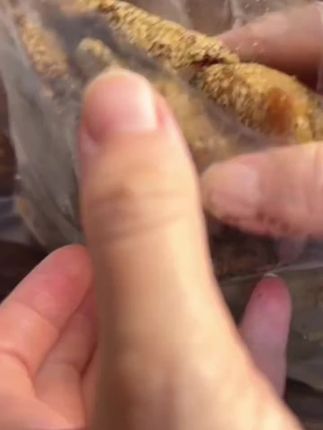 2025舒城火渣肉安徽干渣肉五花肉后腿肉随机发食用方便真空包装#火渣肉 #干渣肉 #下饭菜 #下酒菜 #安徽美食 @DOU+好生意 @DOU+小助手