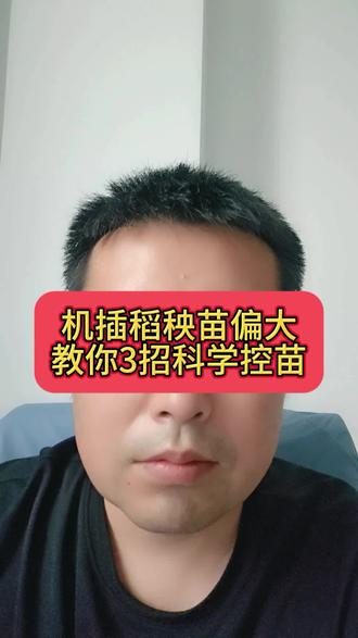 机插稻秧苗偏大,教你3招科学控苗 #水稻种植 #机插秧育苗 #水稻管理技术 #机插秧育苗 #分享农业知识帮农民增产增收 @DOU+小助手 @DOU+上热门