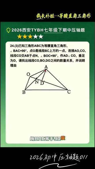 截长补短+等腰直角三角形 2026初中压轴题011铁一滨河七年级下册期中压轴
#铁一中滨河学校 #七年级数学 #几何题解析技巧 #截长补短 #宝老师数学思维
