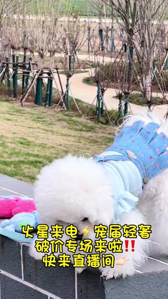 火星来电⚡️项圈胸背🐶破价专场🎉快来直播间 今晚10点不见不散😍
#宠物胸背 #宠物项圈 #狗狗项圈 #狗狗衣服 #宠物牵引绳