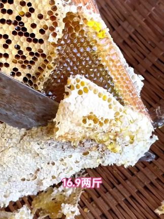#蜂蜜 大山里的土蜂蜜,原汁原味,花香味十足,纯天然无添加的一款纯蜂蜜。#我的乡村生活 #记录真实生活 #土蜂蜜
