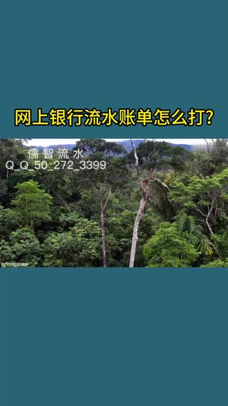 网上银行流水账单怎么打?#网上银行 #银行流水 #流水账单 #打印