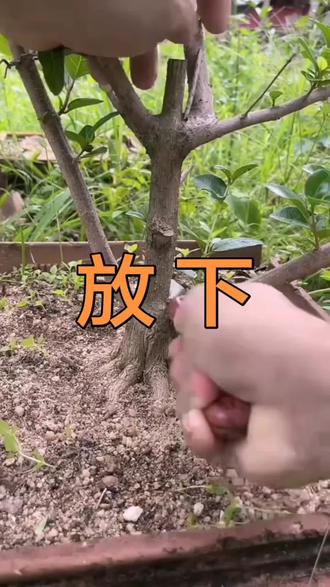 斩孽缘,清空心灵污垢,方能转好运!#修行 #禅悟人生 #治愈 #觉醒