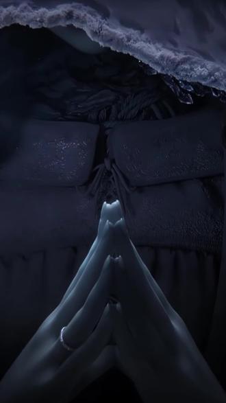 褪色者,这是拉妮的来信 #艾尔登法环