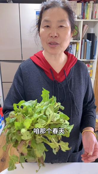 春天到了,田间地头的蛤蟆草可是大宝贝,大家可以挖一些像我这样炒鸡蛋,真的又香又好吃,对身体好处多多……#蛤蟆草炒鸡蛋 #蛤蟆草 #野菜 #野菜美食