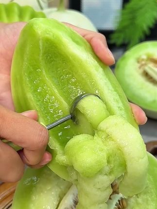 一年能吃15天的冰激凌玉菇甜瓜,软糯香甜,不会让您失望的!#玉菇甜瓜 #玉菇冰淇淋甜瓜 #玉菇瓜