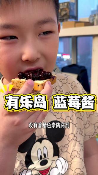 你们家有没有乖乖写作业的孩子啊?说出来让我羡慕羡慕 #蓝莓酱 #有乐岛 #蓝莓 #宝妈