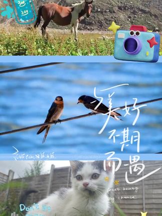 儿童鲸鱼球球枪男女孩室内亲子互动发射游戏宝宝益智粘粘球玩具 #在抖音入手的好东西 #无限回购的宝藏单品