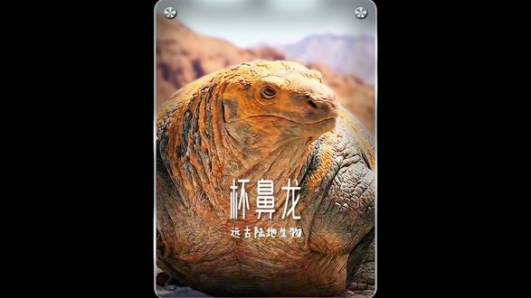 科学家第一次挖到它时以为它是个孕妇,没想到这就是它的正常状态。#杯鼻龙 #远古生物 #科普 #恐龙 #神奇的动物在抖音