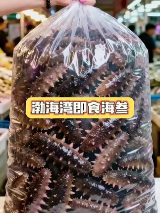 渤海湾即食海参,海洋馈赠的滋补珍品。 它来自渤海湾这片纯净海域,北纬39度的独特优势,让海水温度适宜、饵料丰富。这里生长的海参,需历经4-5年的漫长时光才成熟,积累了满满的营养。 每一根即食海参都参体饱满,参刺挺拔粗壮,呈漂亮的倒三角状。肉质紧实Q弹,口感爽滑鲜嫩,咬上一口,仿佛能感受到大海的鲜香在舌尖散开。而且它富含蛋白质、多种氨基酸、维生素和矿物质,低胆固醇、低脂肪,营养丰富又健康。 即食的设计更是贴心,无需繁琐泡发,开袋就能吃,还能轻松搭配出各种美食,凉拌、煮粥、煲汤皆相宜。 无论是忙碌的上班族,还是注重养生的老人,渤海湾即食海参都是便捷又营养的选择。 #渤海湾即食海参 #滋补佳品 #海洋美味