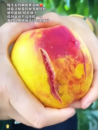 正宗大连老树麻脸丑桃,桃香浓郁,硬吃脆甜软吃爆汁、嘎嘎好吃、爱吃桃的真的可以闭眼冲!!#桃 #麻脸黄肉油桃#又到吃桃子的季节 #助农水果 #新鲜采摘