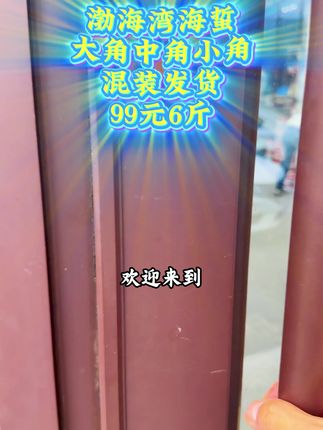 海蜇红白角大中小角混合发货6斤只需99#海蜇 #野生海蜇 #望海大嘴