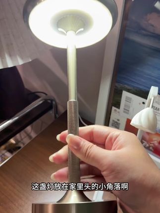 这盏小台灯真的是摆哪哪好看!触摸开关三色调节! 很显贵显高级#台灯 #氛围灯