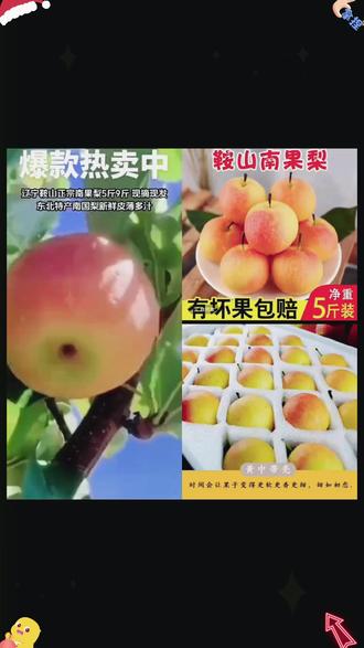 2023年辽宁鞍山海城南果梨南国梨新鲜净重5斤坏果包赔香甜皮薄#新鲜水果 #南果梨 #香甜水果 #辽宁特产 #坏果包赔