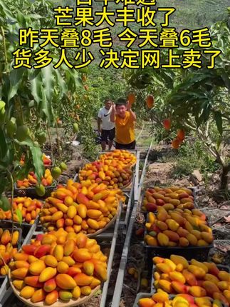 广西桂七芒果,十几块钱满满一箱,又香又甜又大只,包邮,真实惠 #新鲜采摘 #桂七芒果#软糯香甜 #新鲜水果 七月已过,广西桂七芒果采摘期已临收尾,又香又甜是桂七独有的味道,我就喜欢吃不停,天天买,再吃几天就采摘完了,又要等到明年了。今年水果丰收,在抖音里能买到如此便宜的桂七,着实过了一把桂七瘾。