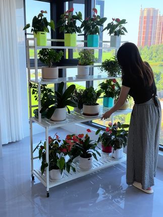 加高4层花架,实用,方便#花架