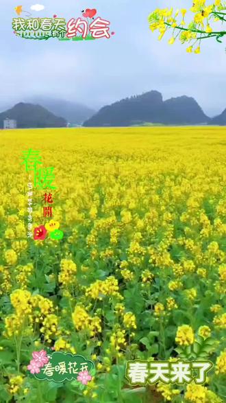 每一首好听的歌曲💦🌸💦都有一段故事 💦🌸💦春天来了💦🌸💦家人们元宵快乐💦🌸💦