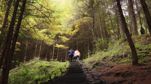 秋假赏秋路线合集|总有一条适合你的路线! 中小秋假来临,很多家长还在挑选遛娃线路。我们帮你整理了六条一日赏秋路线,适合带娃一起体验徒步的乐趣,全程轻松休闲,体验拉满。
一、甘海子
可远眺雪山、壮阔云瀑,看高山海子和秋季彩林,全程石板路、坡度平缓。
二、云中牧场
这里全是满山的五彩彩林,并且徒步路线很短,轻松感受高原的辽阔和漫山的秋色。
三、松林湾
现实版的秋日童话森林,金黄的落叶松,在这里交织成绚烂的画卷。路线平缓,非常适合漫步其中。#旅行推荐官 #户外徒步 #赏秋好去处 #成都周边 #CocoRun
四、喇叭河
秋天的喇叭河漫山红叶,仿佛走进油画之中。路线轻松,是休闲赏秋的绝佳选择。
五、松坪沟
被称为茂县“小九寨”,全程都是步梯栈道,沿途尽是碧蓝的湖水,和层林尽染的彩林。
六、龙苍沟
层叠的彩林,潺潺的溪流,每一步都像是走在油画里,治愈感拉满。
这个秋天带上孩子,和我们奔赴一场限定秋日浪漫,一起远足!