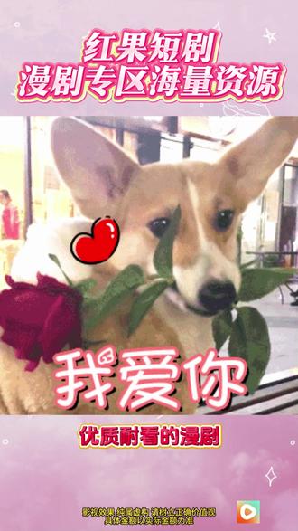 #红果短剧 #你的短剧搭子