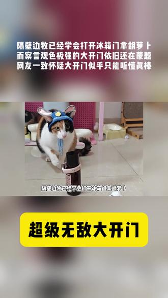超级无敌大开门猫咪,茶颜悦色能力极强! #抖音商城话费