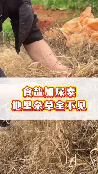 #除草#除草剂#除草剂配方#除草技术