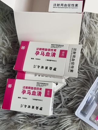 #养殖#自繁自养#母猪#养猪人