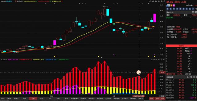 3.1锡业股份:开始动真格了,最后的忠告