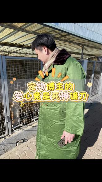 宠物博主的爱心竟是死神镰刀#养狗经验分享 #豆柴#萌宠出道计划