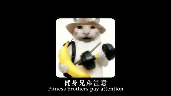 肌肉的保护盾,谷氨酰胺一定要懂! #训练怪兽 #训练怪兽谷氨酰胺 #谷氨酰胺 #健身