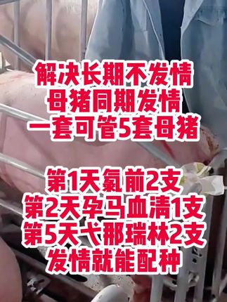 #母猪不发情 #母猪快速发情 #自繁自养母猪