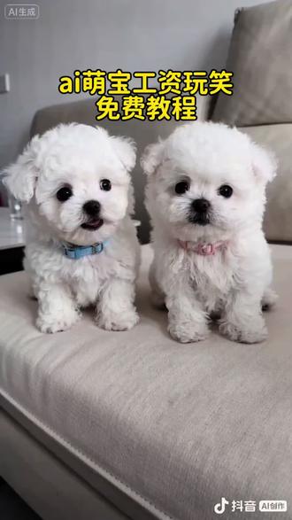 #你妈妈一个月挣多少钱 #ai萌宠搞笑视频 #ai猫咪的薪资谎言 #剪映 #ai一个月多少钱特效教程 你妈妈多少钱一个月ai特效教程来了 你诚实说 两万五 你不是说乘十说吗 ai猫咪的薪资谎言特效教程来了 ai一个月挣多少钱制作教程