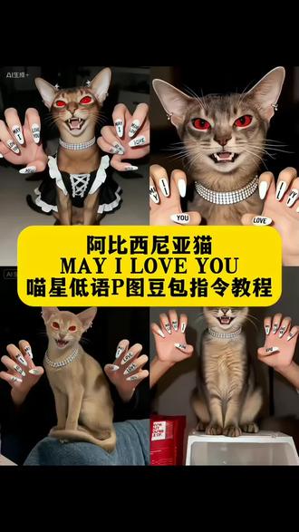 阿比西尼亚猫ai合照指令教程 #mayloveyou #阿比西尼亚猫 #阿比西尼亚猫咪 #豆包P图已经nextlevel了 #豆包ai 阿比西尼亚猫MAY I LOVE YOU豆包p图指令教程来了 阿比西尼亚猫p图教程来了 阿比西尼亚猫p图 ai和猫咪合照同款 may i love you猫咪p图 iloveyou字母特效贴纸 特效iloveyou loveyoumami特效同款 mayiloveyou特效 阿比西尼亚猫ai合照 阿比西尼亚猫和暹罗猫照 阿比西尼亚猫图片 阿比西尼亚猫ai图 阿比西尼亚猫的照片 阿比西尼亚猫侧脸图片 阿比西尼亚 阿比西尼亚猫多少钱一只 阿比西尼亚猫 阿比西尼亚猫黑色 阿比西尼亚是哪个国家 阿比西尼亚猫壁纸 阿比西尼亚猫红眼睛 阿比西尼亚猫头像 阿比西尼亚屁股臭 may i love you猫咪 搜索 may i love you宠物 may i love you女生版 may i love you may i love you配图 may i love you插画 may i love you原版视频 may i love you盲盒 may i love you图片 反馈 may I love you mayiloveyou写真 may i love you钢琴 may i love you纯音乐 may i love you文案 may baby i love you may i love you怎么回复 may i love you高清图 May i love you完整版 may i love you韩文版 may i love you加长版 may i love you什么意思 may i love you女声版 may i love you英文原音 mayiloveyou张智成 眼睛iloveyou特效 下面播报一段喵星低语 下面播报一段喵星低语的博主 下面播报一则通知音频素材 猫咪热榜话题 最近很火配猫的bgm 下面播报一条新闻 甘露真爱降临提示音 是什么妨碍了本喵前进的步伐 今日宠物热门榜第一名 猫咪已经学会抢答了