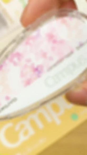 国誉KOKUYO木野修正带ins日系限定款小学生用可换替芯按动涂改带#改正带 #涂改带 #文具用品 #学习用品