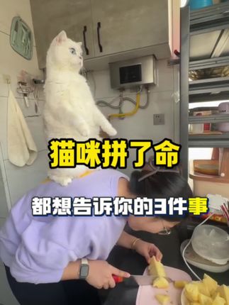 猫咪想告诉你的几件事,一定要记得定时驱虫,不然痒痒很难受~#新手养猫 #猫咪驱虫药推荐#成橙小巴#驱虫#猫咪驱虫