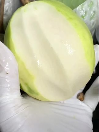 #快来一起尝个鲜 #应季水果 #口感特别好 #芭乐番石榴 #新鲜采摘