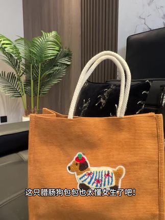 腊肠狗帆布包包女2025新款潮学生上课手提包休闲大容量单肩托特包#包包推荐 #好物推荐🔥 #百搭包包 #简约时尚手提包 #女包