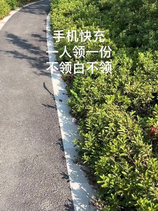 老铁们 一人薅一单#快充数据线 #华为120w超级快充 不领白不领#手机快充 #数码产品