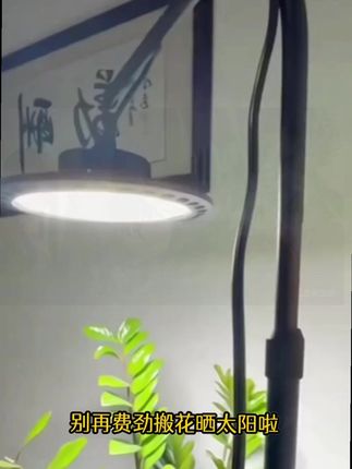 光联天下全光谱植物补光灯室内阳台绿植三角梅月季生长灯仿太阳光#植物补光灯 #绿植专业补光灯 #植物灯补光灯 #爱生活爱养花