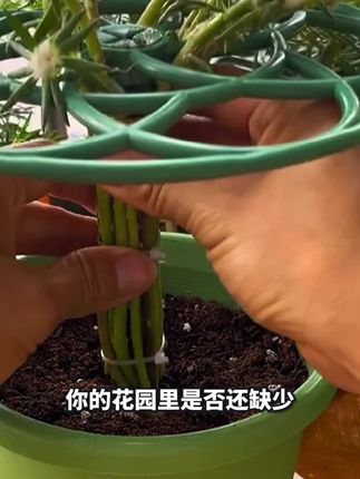 救命!这支架简直是植物的梦中情架💖独特太阳花棒棒糖造型,不仅颜值超高,多层结构还能全方位固定植物,让你的阳台瞬间变身梦幻花园~# 高颜值支架 #花园颜值担当 #植物固定神器