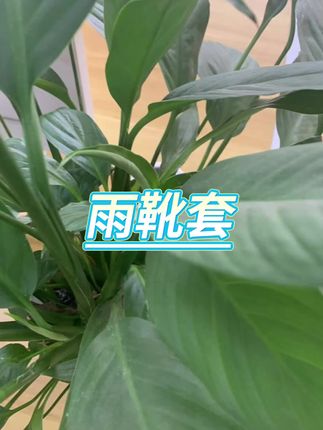 #雨鞋套 #防水雨靴套 #鞋套