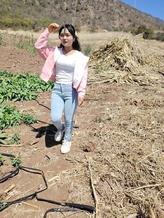 按斤称,你说我值钱不😂