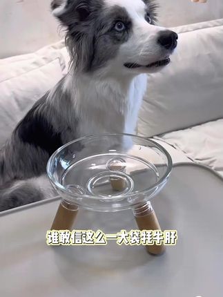 蓓特斯冻干耗牛肝整块原切补铁猫狗通用零食#蓓特斯冻干 #冻干零食 #冻干牛肝 #冻干零食 #猫狗冻干