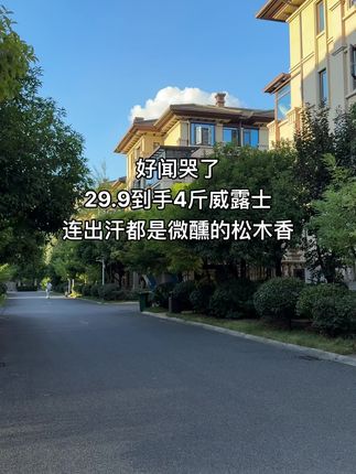 刚洗完一桶衣服,此刻感觉整个阳台都是松木飘香,香味扑鼻#威露士松木香洗衣液 #持久留香的洗衣液推荐 #在抖音入手的好东西 #洗护好物 #污渍轻松去除