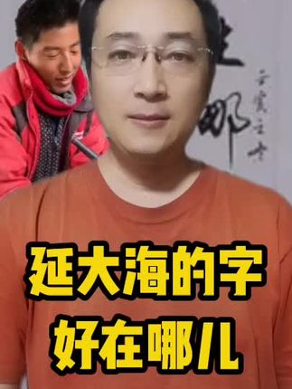 #艺术 #表达 #思想 延大海的字好在哪儿
