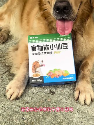 选狗粮还得真狗实测,小仙豆还是杆杆的#食物链小仙豆 #犬粮湿粮 #新手养狗 #萌宠好物
