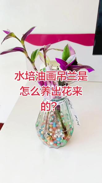 油画吊兰水培好还是土培好,怎么养出大白根? 油画吊兰水培也能开出花,水培土培扦插都能长出大白根。
🌞 养护核心(超简单,新手友好)
1. 光照(决定颜色)
- 每天3–6小时明亮散射光(东向窗/南向纱帘后),越晒越紫。
- ❌ 夏季正午暴晒→焦边;长期阴暗→变绿、徒长。
2. 浇水(耐旱怕涝)
- 见干见湿:土表干2cm再浇透,宁干勿湿。
- 春秋7–10天/次;夏季5–7天(避中午);冬季15–20天,5℃以下断水。
3. 温度与湿度
- 适宜 15–25℃;冬季≥10℃防冻;夏季>30℃遮阴通风。
- 空气干燥时,周围喷雾,别直接喷叶心。
4. 土壤与施肥
- 土:多肉土/泥炭:椰糠:珍珠岩=1:1:1,疏松透气。
- 肥:春秋每月1次稀释复合肥;喷磷酸二氢钾让颜色更艳;冬季停肥。
5. 修剪与繁殖
- 剪徒长枝、乱枝,越剪越爆盆。
- 扦插:剪5–8cm枝条,插土/水,7天生根、2个月爆盆。#绿植养护技巧 #油画吊兰扦插 #家居生活 #水培油画吊兰
