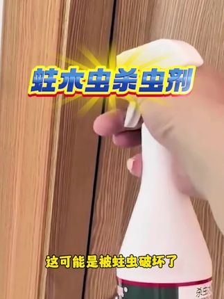 消灭蛀木虫杀虫剂白蚁防治专家用药水钻心虫喷雾天牛粉蠹虫净克星#蛀虫的危害 #蛀木虫杀虫剂 #双管齐下