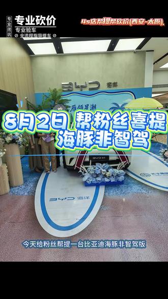 8月2日比亚迪海豚非智驾验车全流程教程 #比亚迪避坑 #比亚迪鸡避雷 #西安买车 #比亚迪海豚 #海豚非智驾