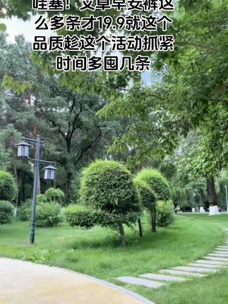 闭眼入这款超薄瞬吸的安睡裤,轻薄透气不闷热!#超薄透气#生活用纸#独立包装#生理期#安睡裤